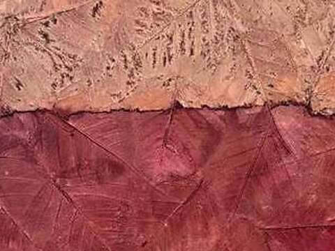 Liseron — Paysages, détail de la matière