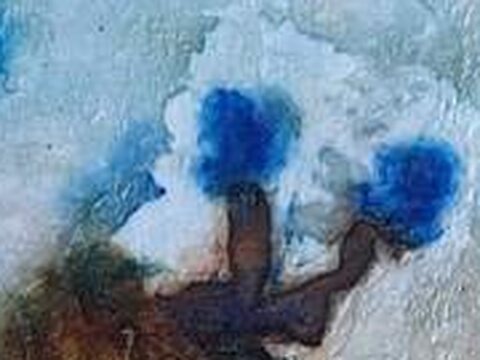Liseron — Tableau de voyage, détail de la matière