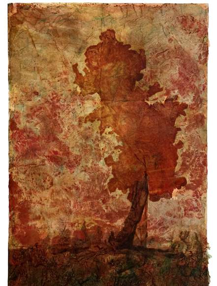 Liseron — « Cramoisie », 48x73 cm