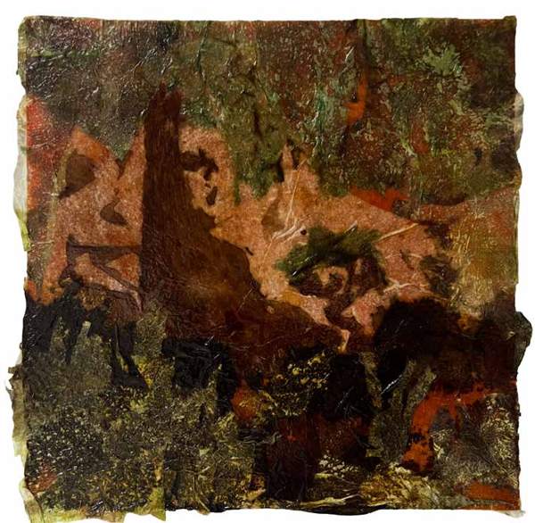 Liseron — « L’arbre de l’arbuste tordu », 30,5x30,5 cm