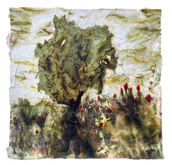 Liseron — « L’arbre et les coquelicots », 31x30 cm