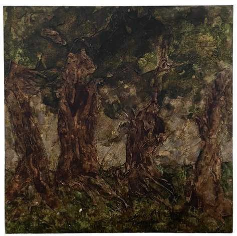Liseron — « Les centenaires », 50x50 cm