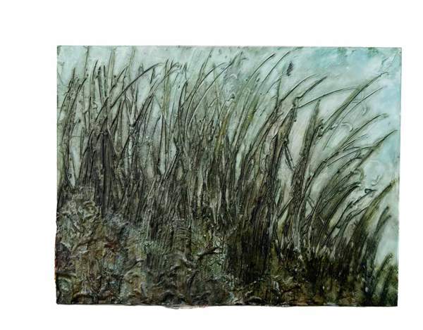 Liseron — « Herbes folles dans le vent », 26,5x35,3 cm