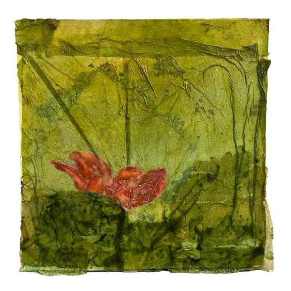 Liseron — « Nénuphar et sa brindille », 50x50 cm