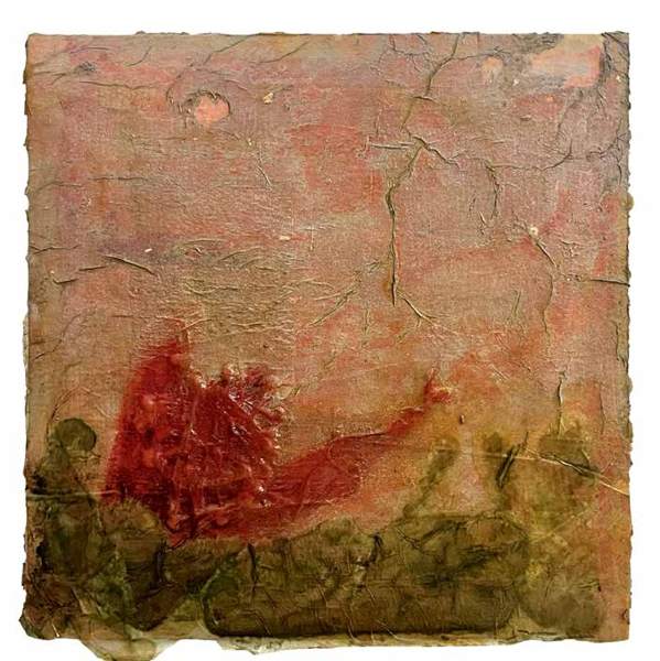 Liseron — « Petit nénuphar biscornu », 20,5x21 cm