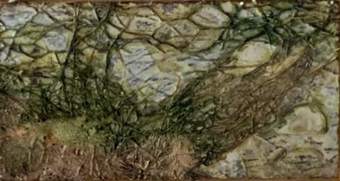 Liseron — tableau de voyage, mini n°7