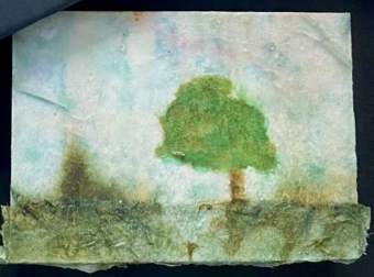 Liseron — tableau de voyage, mini n°22