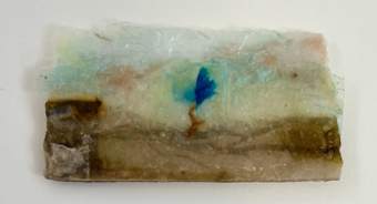 Liseron — tableau de voyage, mini n°37