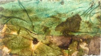 Liseron — tableau de voyage, petits n°9