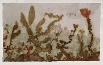 Liseron — tableau de voyage, petits n°24