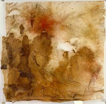 Liseron — tableau de voyage, petits n°41